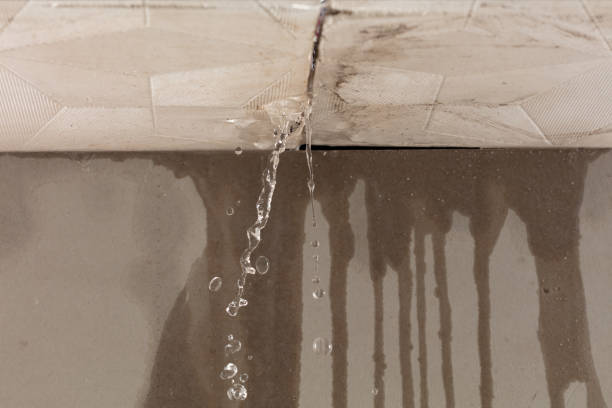 Professional Water Damage Inspection technician working in Roseland, OH